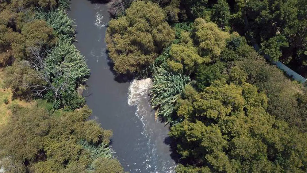 Autoridades de los diferentes niveles de gobierno y activistas acudieron al Río Alseseca